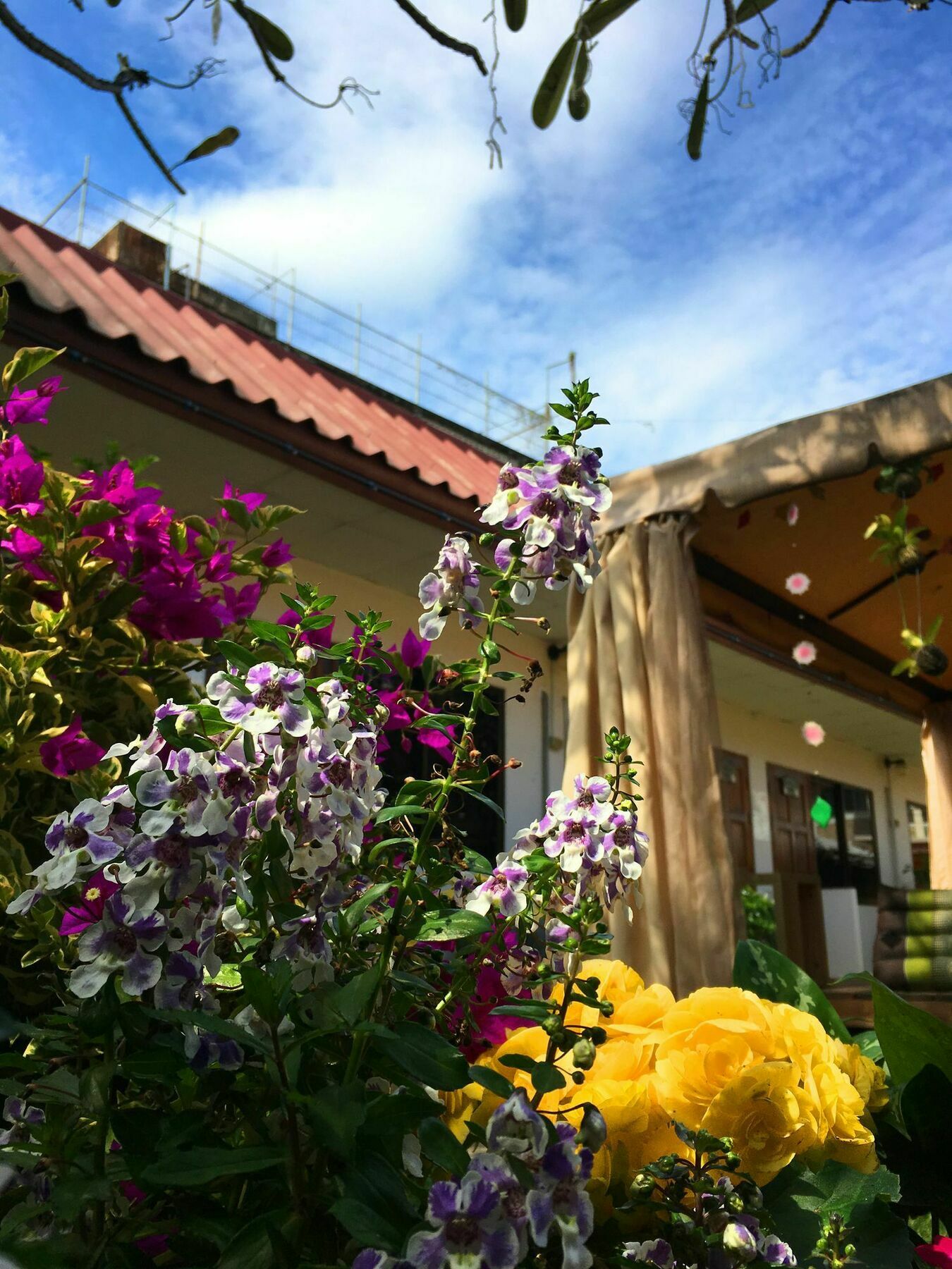Cshouse Hotel Chiang Mai Luaran gambar