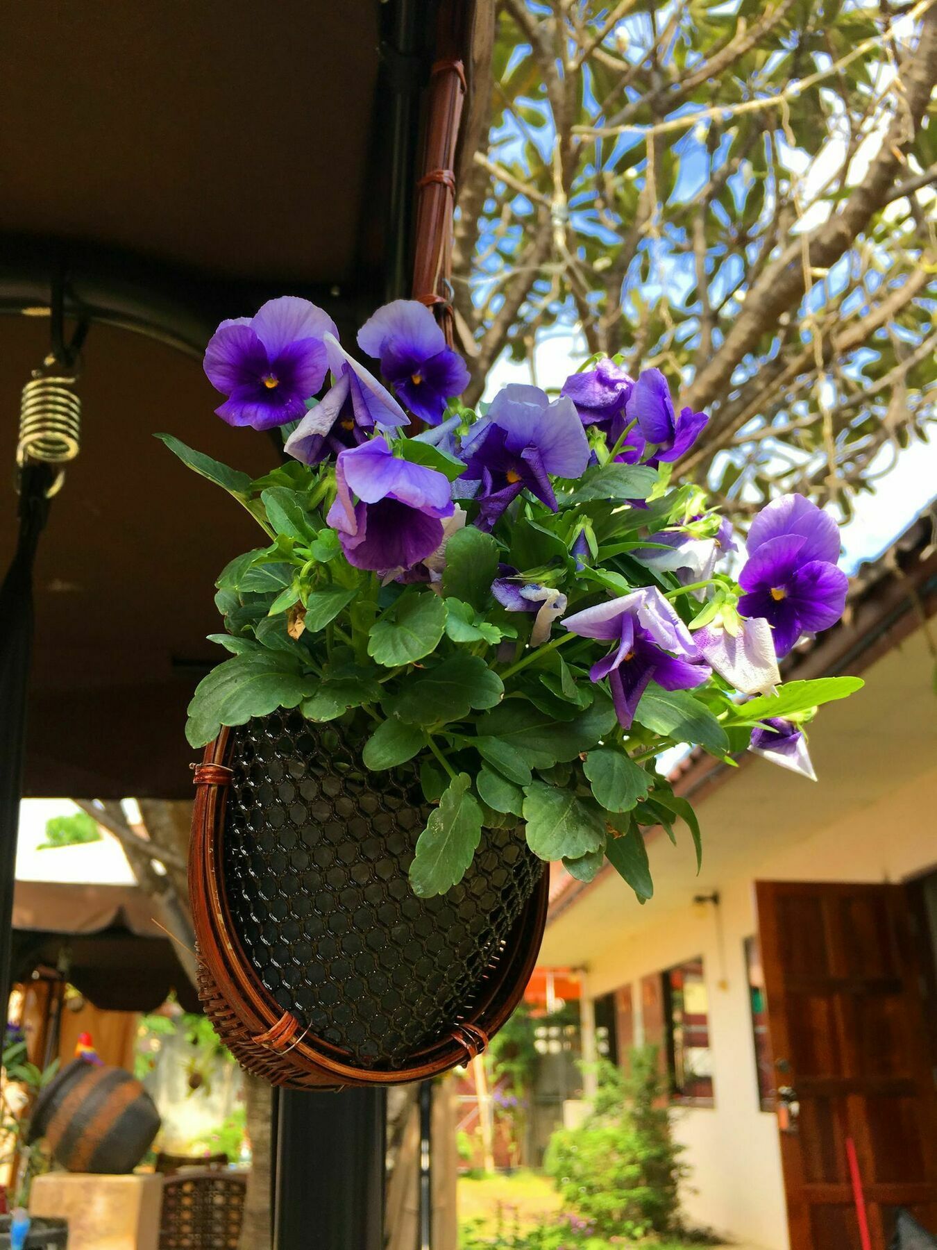 Cshouse Hotel Chiang Mai Luaran gambar