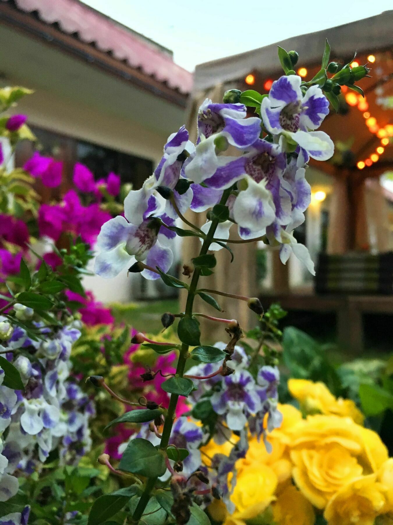 Cshouse Hotel Chiang Mai Luaran gambar